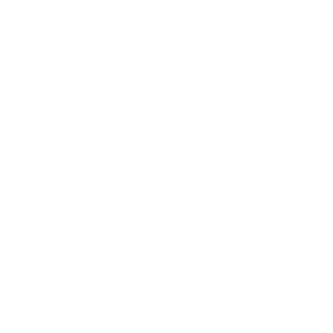 ford-1